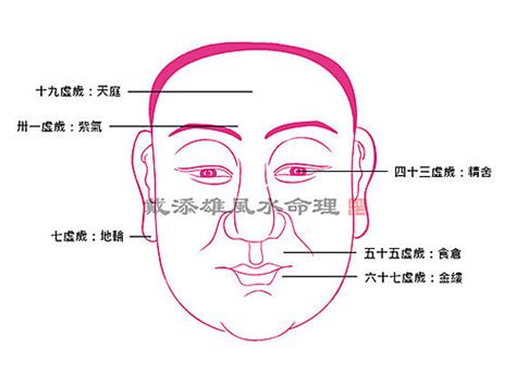 痣面相準嗎ptt|面無好痣？臉孔上的墨或痣在面相學中代表甚麼？